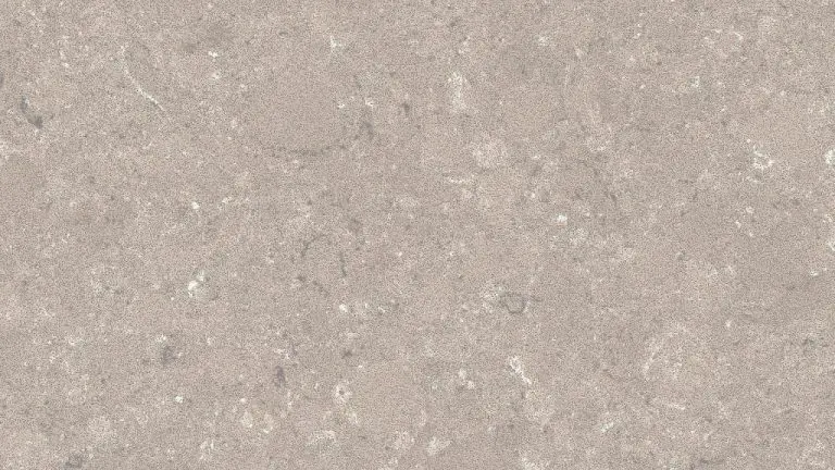 shitake